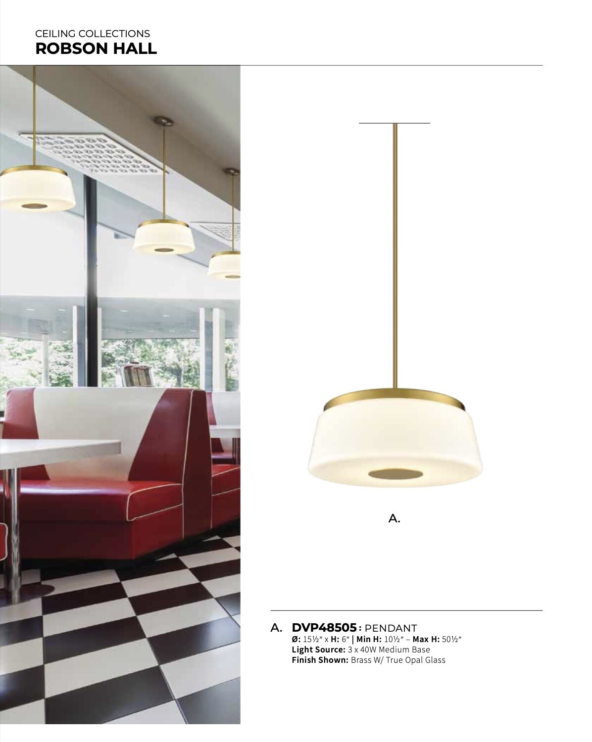Robson Hall Pendant - DVP48505