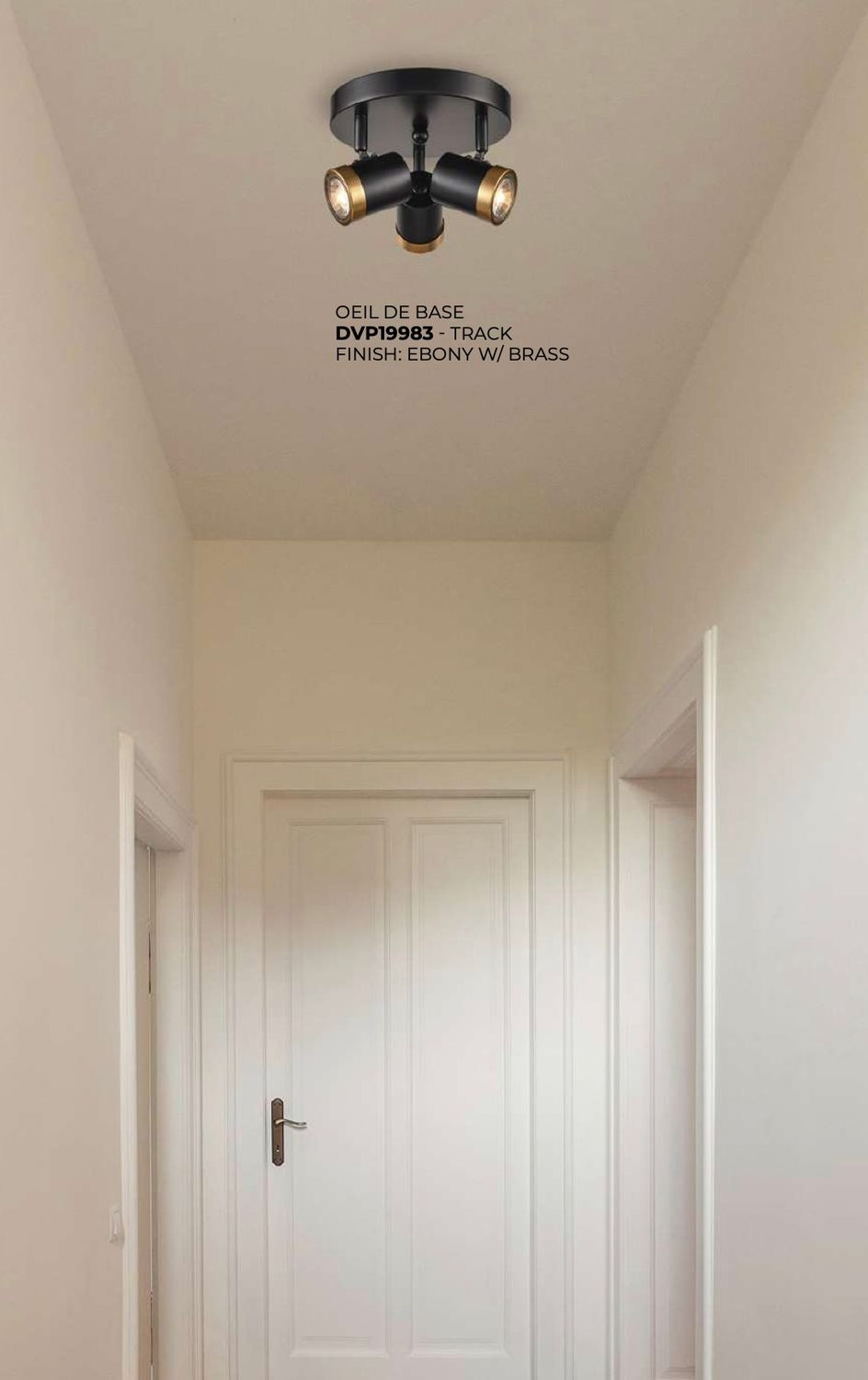 Oeil De Base Track (DVI) DVP19983 Oeil De Base Track (DVI) DVP19983