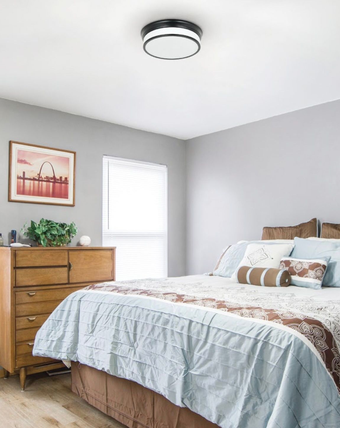 Navo Collection (Matteo)