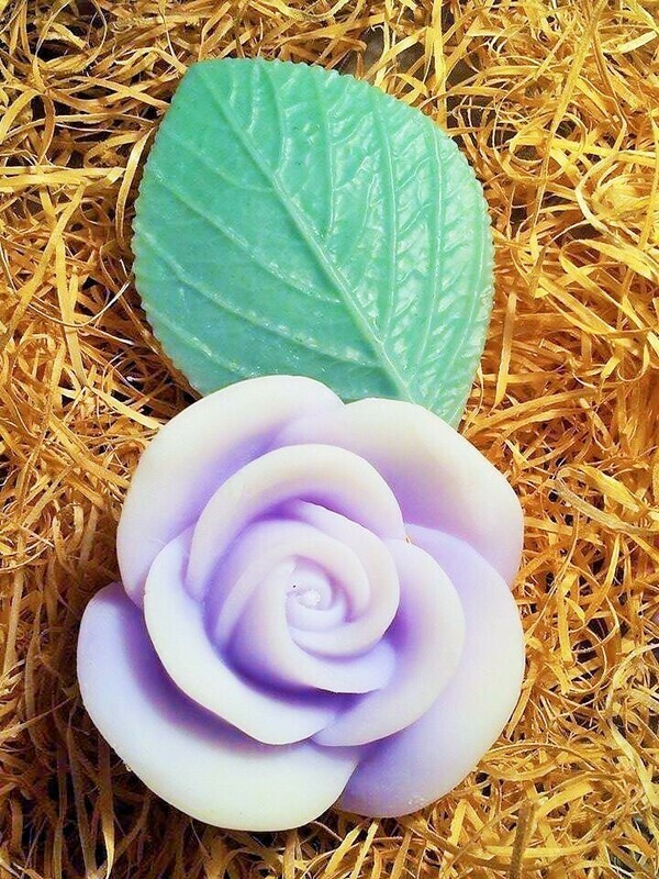 Violet with leaf