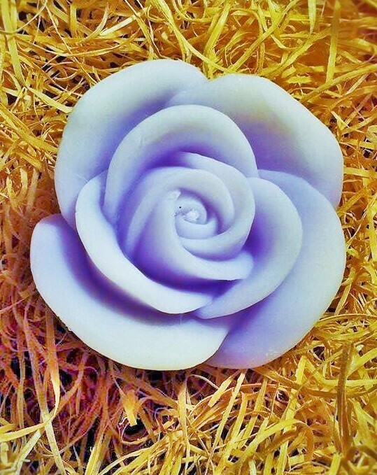 Violet Rose