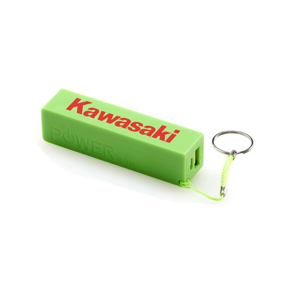 Custom Plastic/Wood/Metal Power Bank