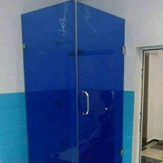 Frameless hinged door bathroom cubicles