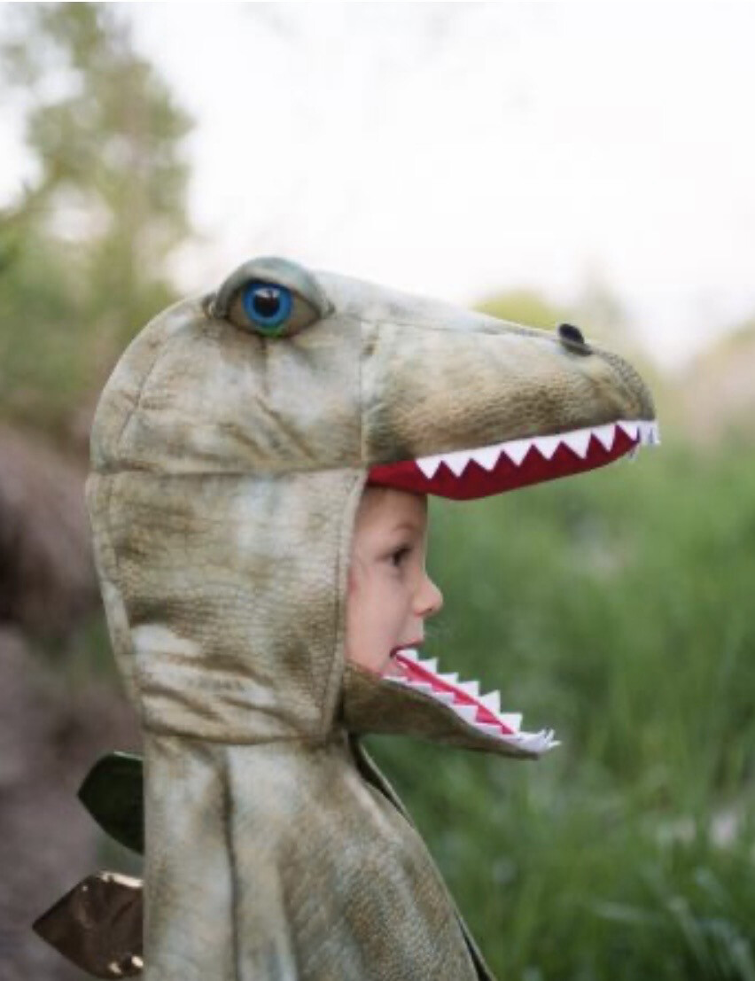 T-Rex Cape mit Krallen Gr. 4-6 Jahre (Grün)