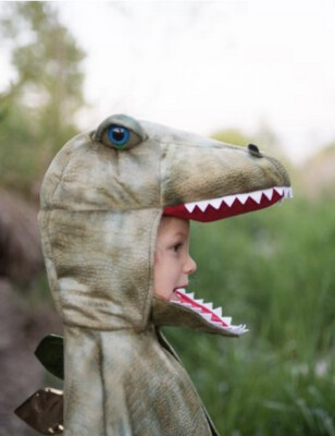 T-Rex Cape mit Krallen Gr. 4-6 Jahre (Grün)