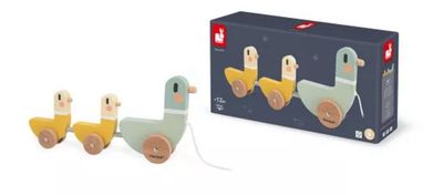 Enten zum Ziehen