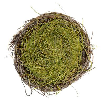 Naturnest mit Ostergras 25cm