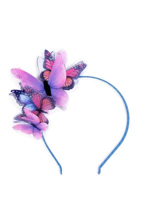 Haarreif Schmetterling