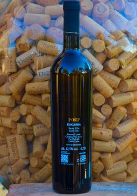 POŠIP – 2025 POŠIP – 2025