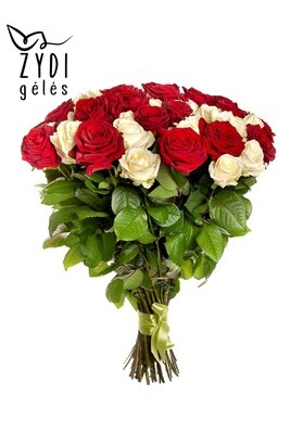 Raudonos ir baltos rožės, 60 cm