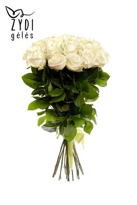 Baltos rožės, 60 cm