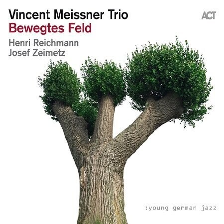 Vincent Meissner Trio: Bewegtes Feld