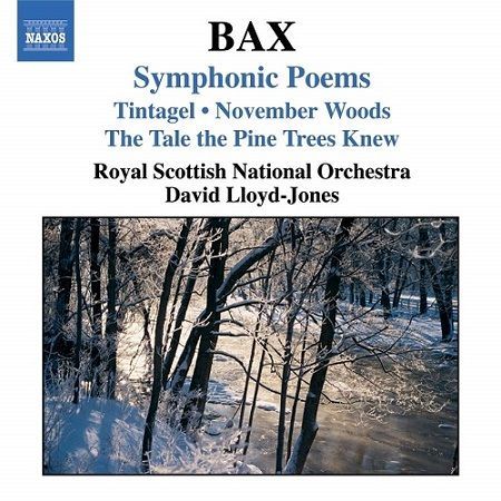 Bax: Poemi sinfonici, David Lloyd-Jones