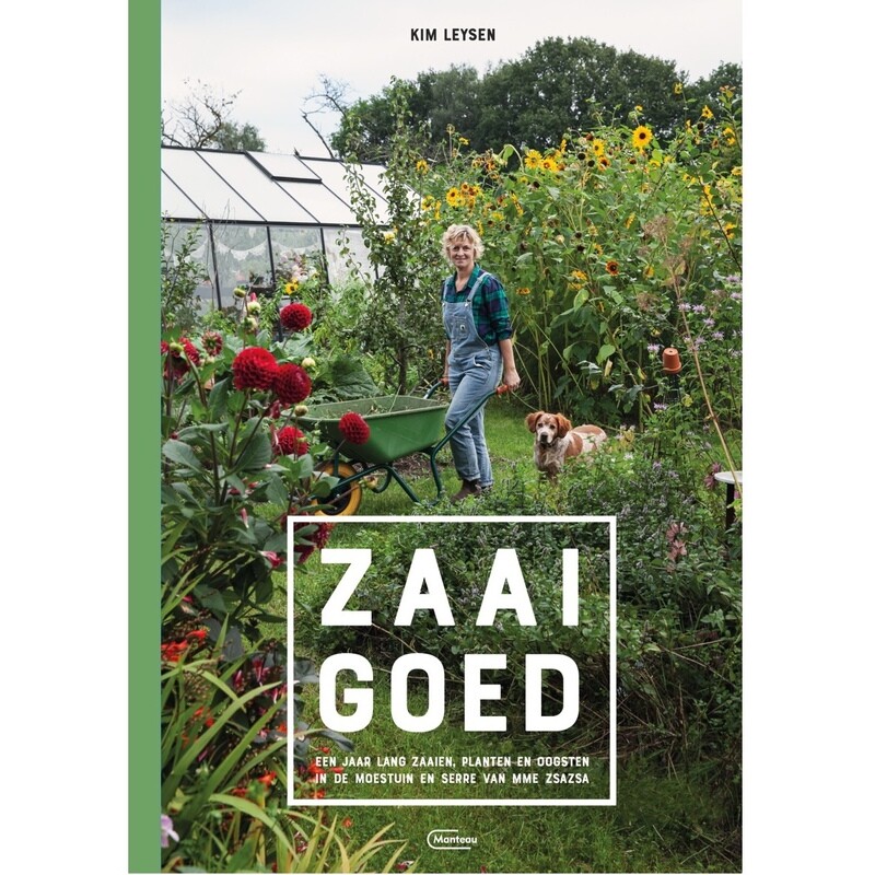 Zaaigoed
