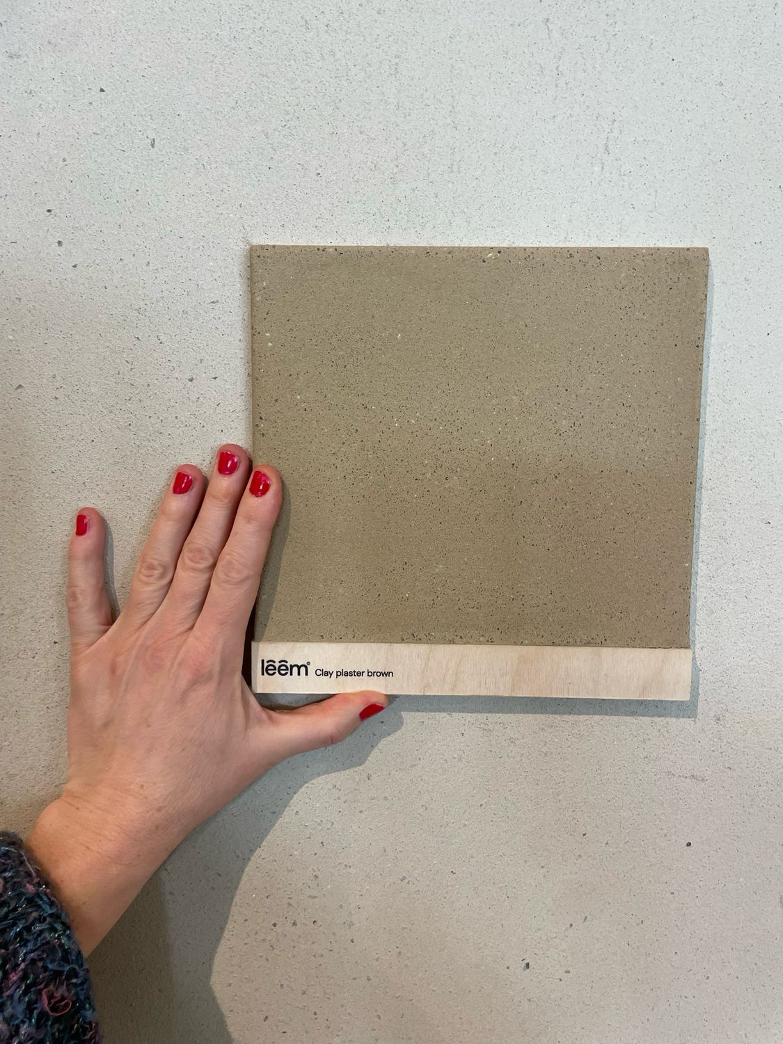 Workshop Lemen, 1 februari