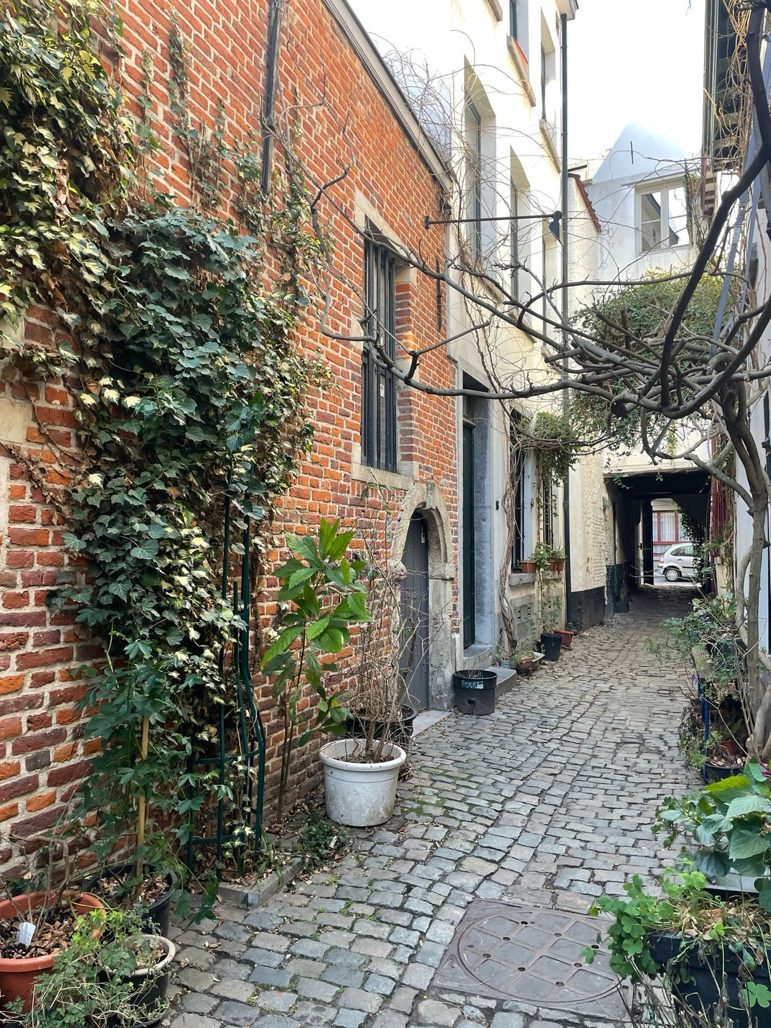 Brussel, van hoog naar laag - 8 augustus