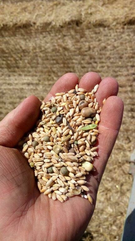 Farine de mélanges céréaliers pour animaux