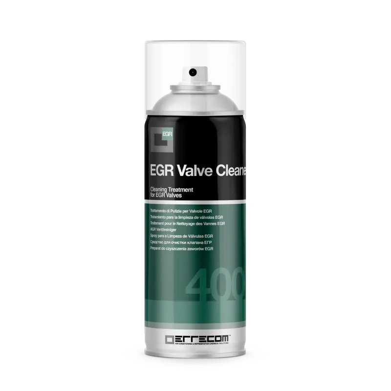 TR1149.N.01-EGR Valve Cleaner spray 400ml