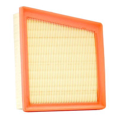 6552 C31196  engine air filter - LAND ROVER