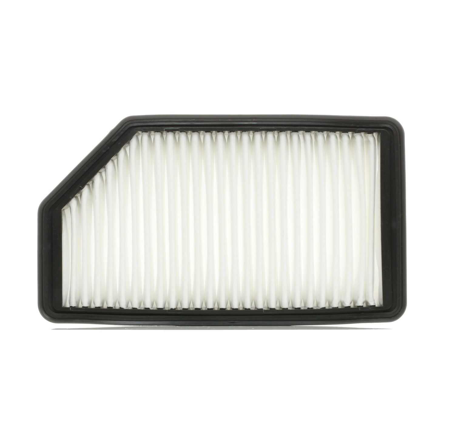 28113-1R100 engine air filter