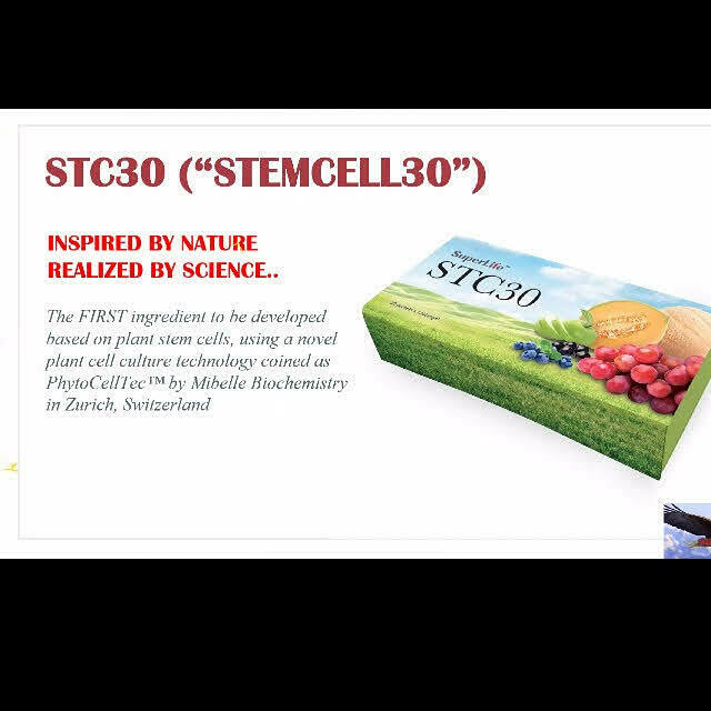 Stc 30
