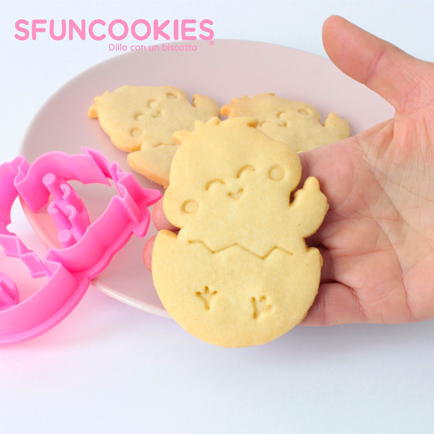 PALOMA pulcino - little bird