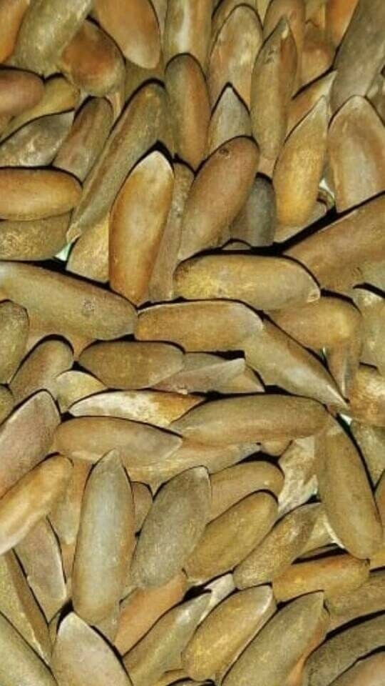 Chilghoza Unroasted (250-gram)