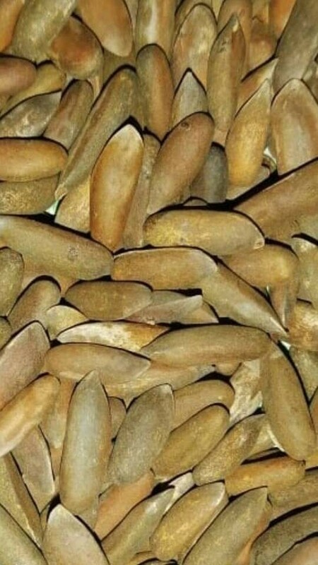 Chilghoza Unroasted (250-gram)