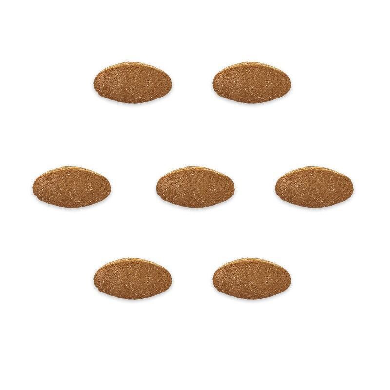 LEONE CARAMELLE Polarstrong Extra-Forti e Balsamiche 100 gr