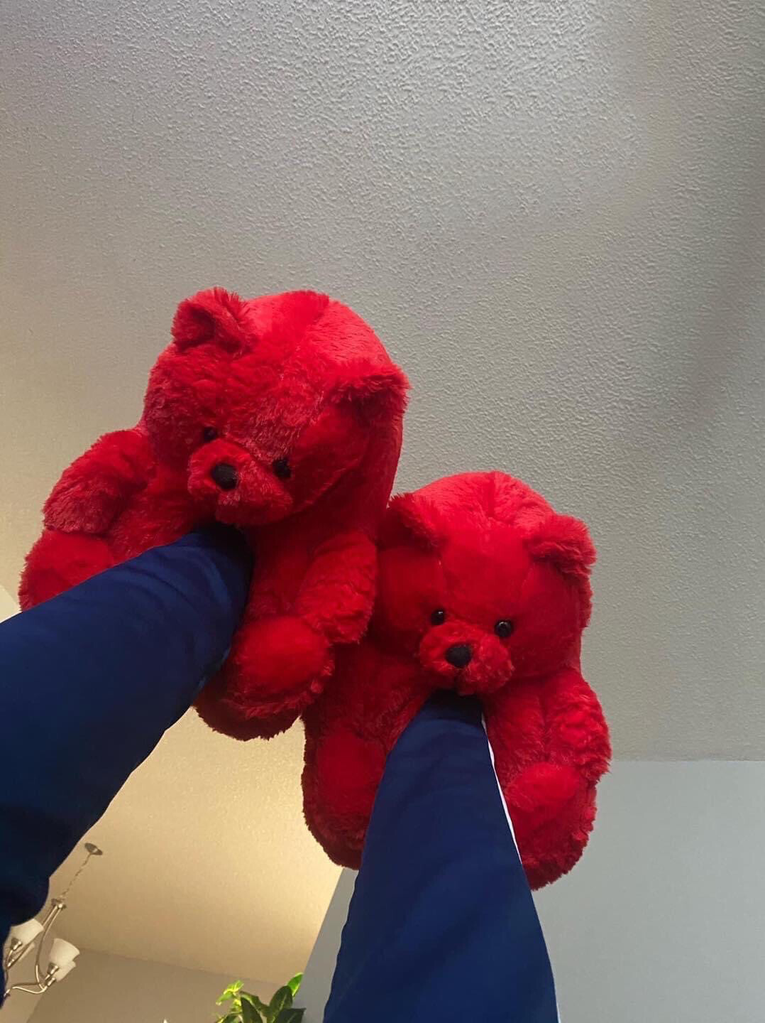 Teddy Bear Shoes