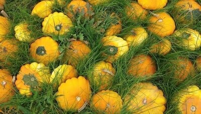 Herbst-Specials