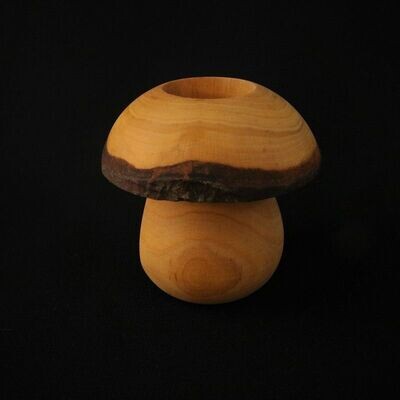 Holzpilz Stiftehalter aus Erle geölt
