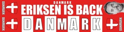 Neu !!! Dänemark-Eriksen is back Seidenschal