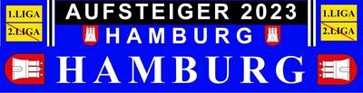 " Hamburg Aufstieg 2023"