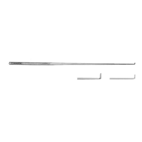 Day Ear Hook