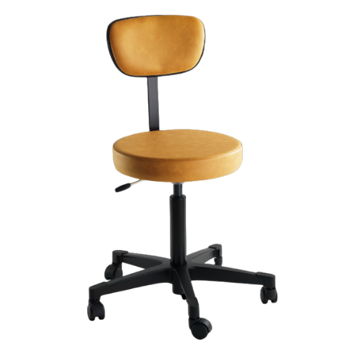 Examination Stool - 4246 Model