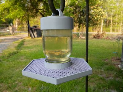 The Bee's Knees - Bee Feeder