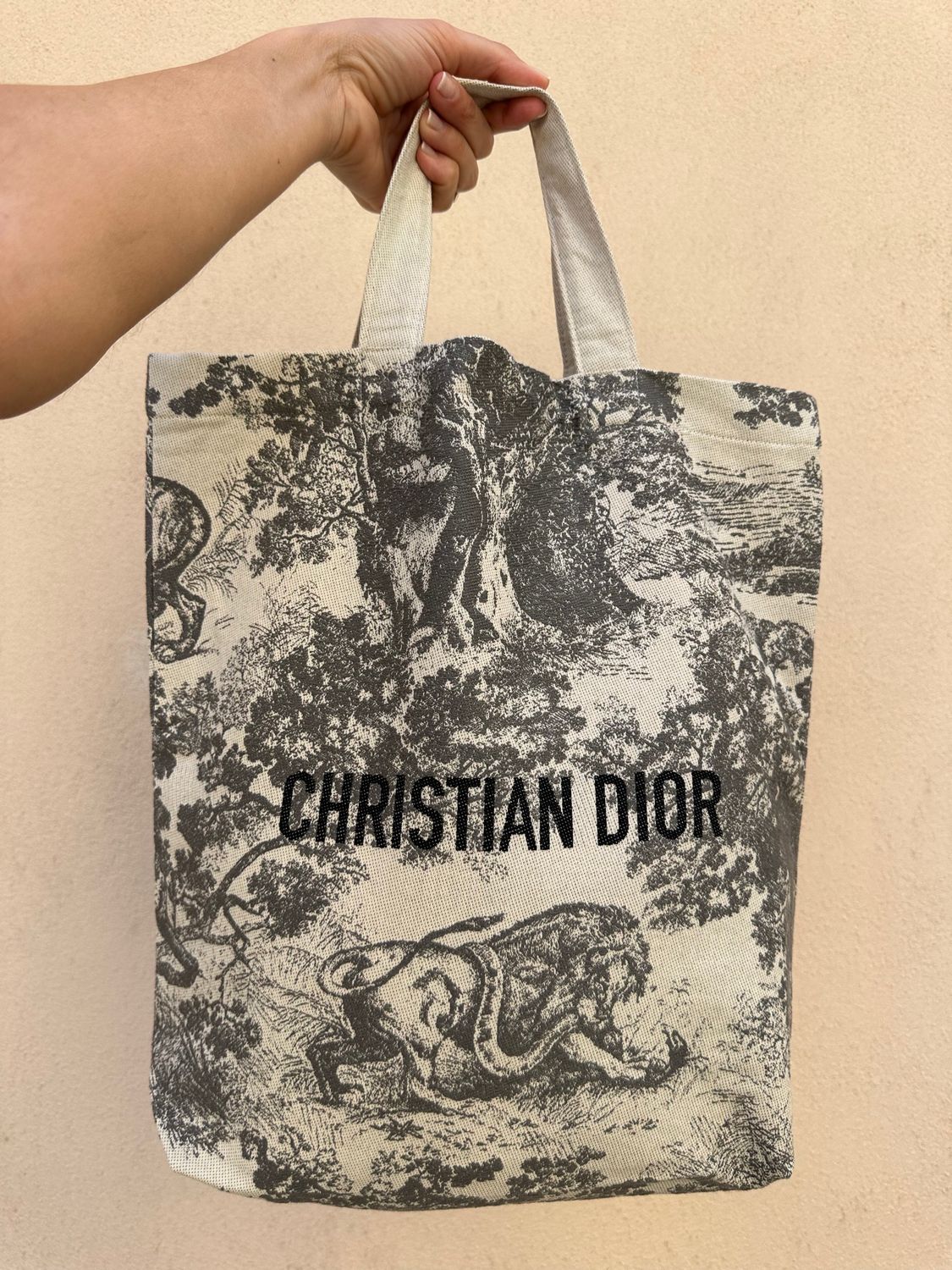 TOTE DIOR FANTASIA ICONICA GRIGIO PANNA