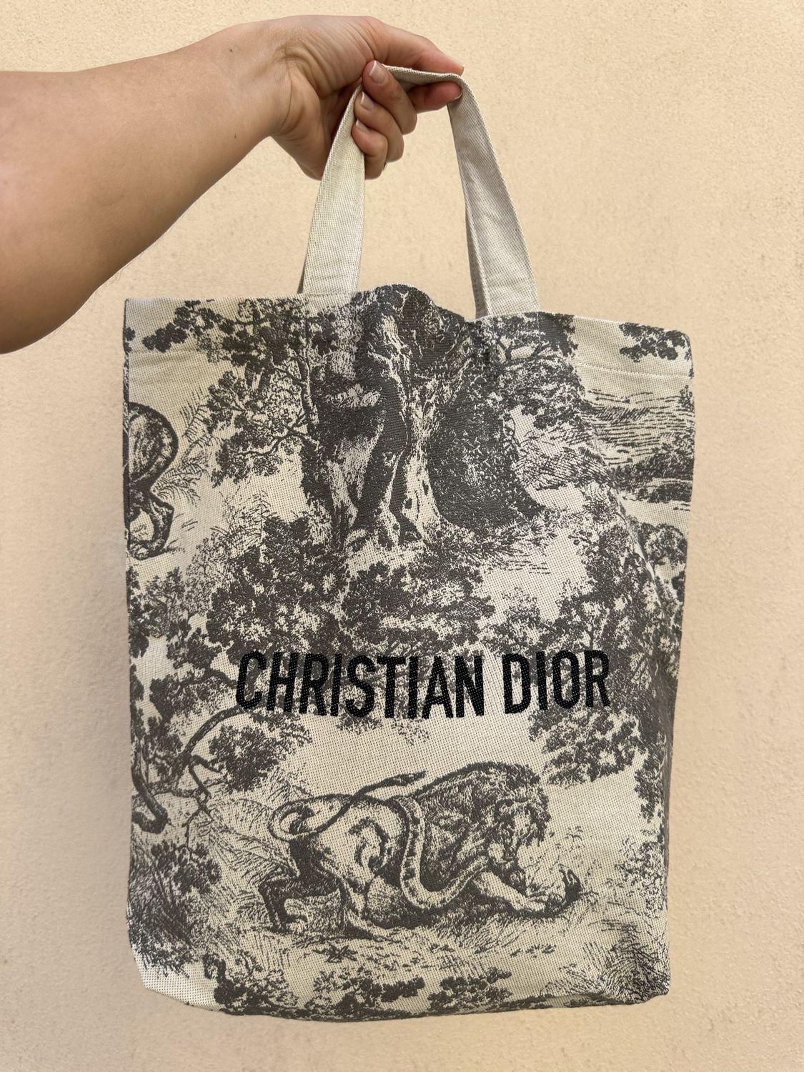 TOTE DIOR FANTASIA ICONICA GRIGIO PANNA