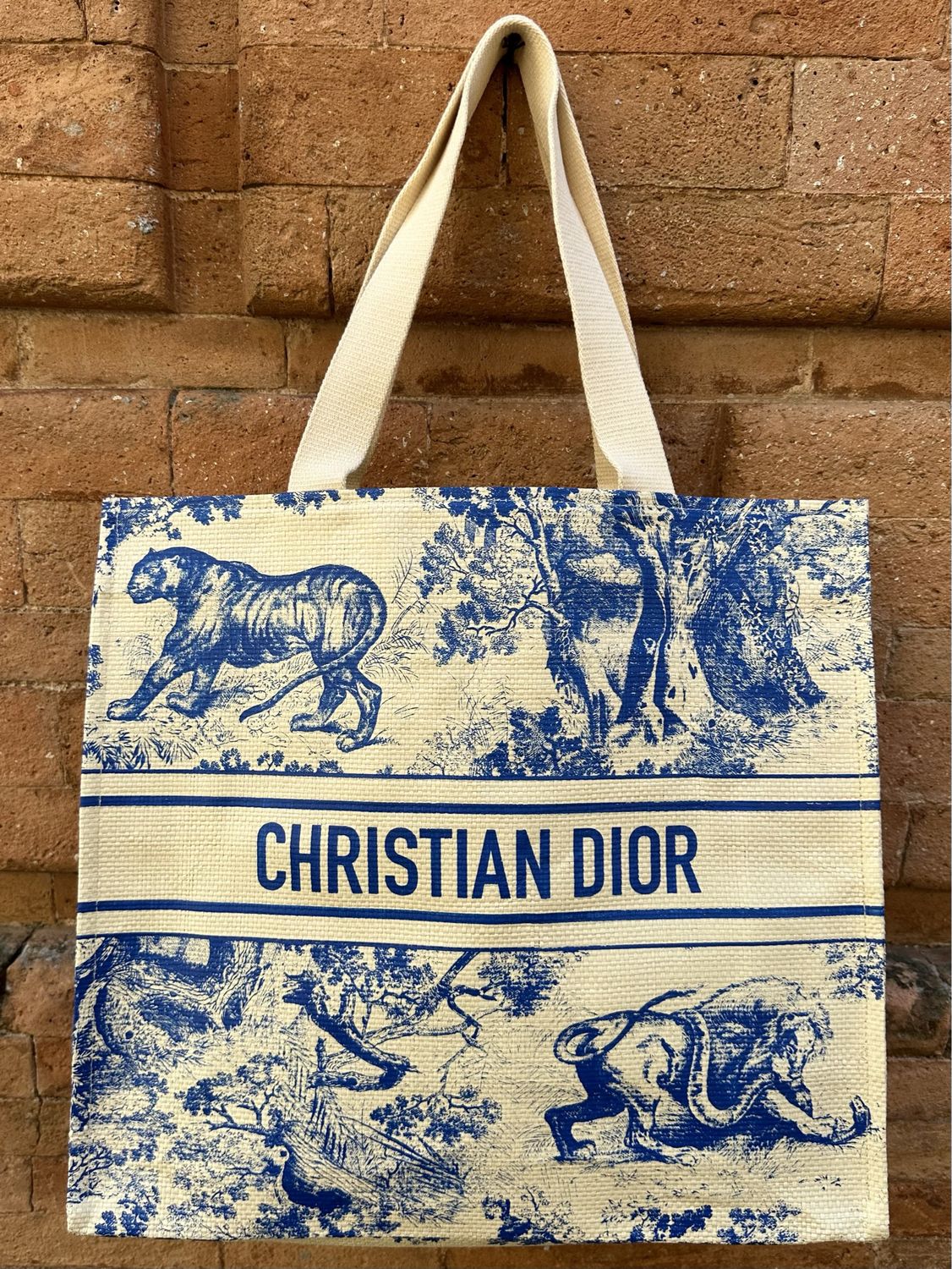 SHOPPER DIOR DIORIVIERA BLU