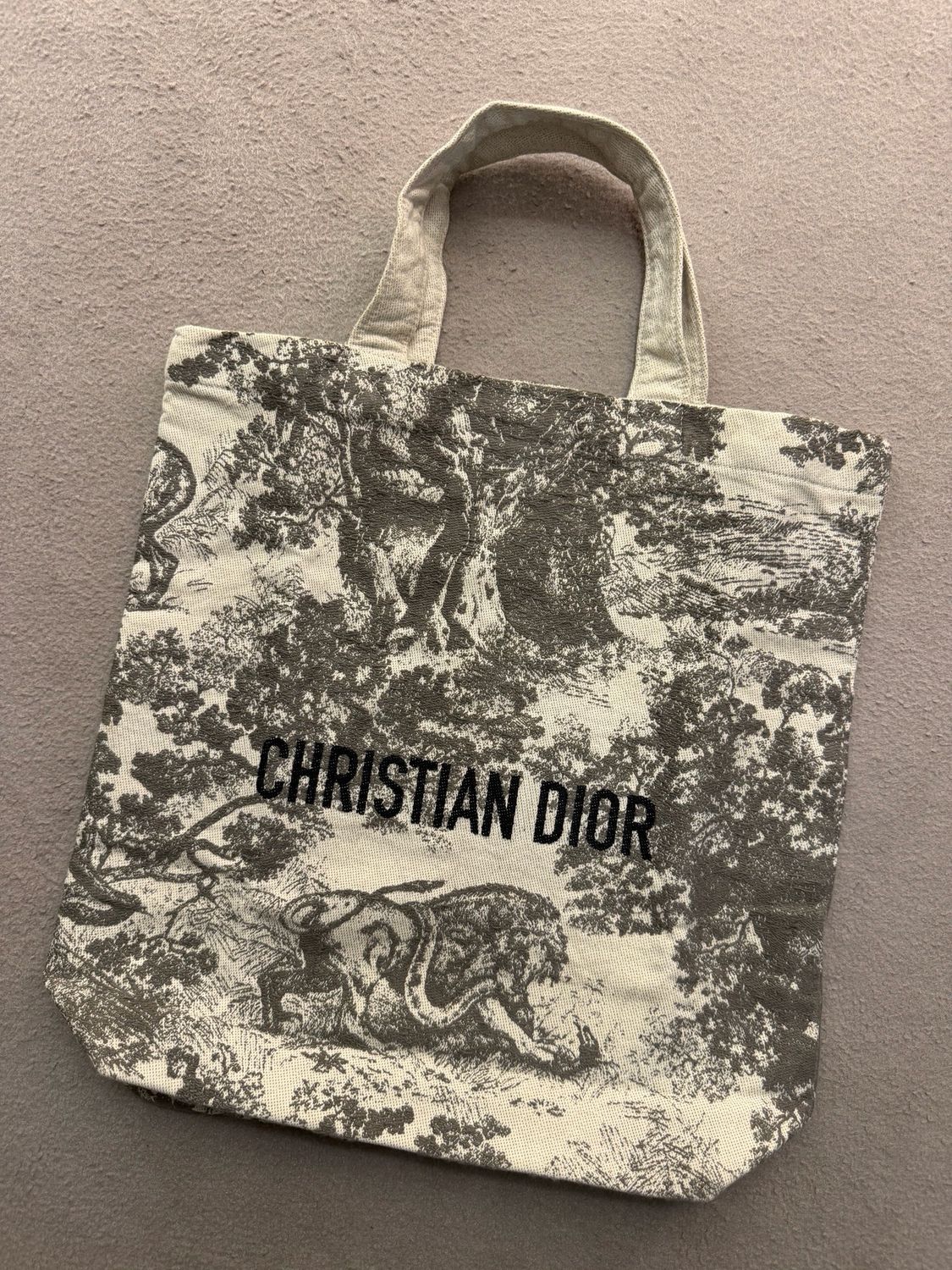 TOTE BAG CHRISTIAN DIOR