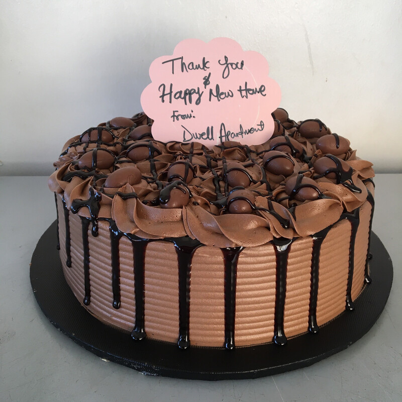 10” Basic Chocoholic