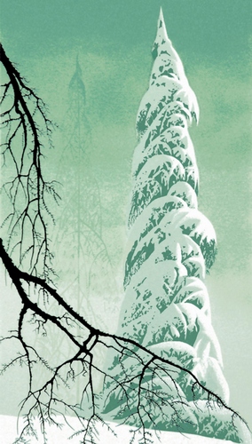 Snow Laden Trees (Serigraph)