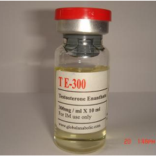 T E – 300 / Testosterone Enanthate