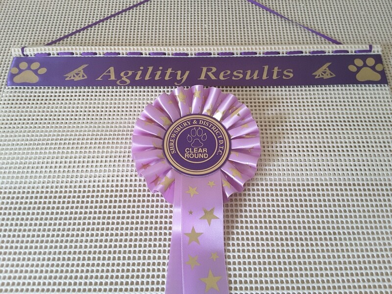Personalised Rosette Holder with &quot; AGILITY SEESAWS &quot; images