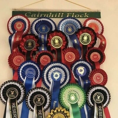 Personalised Rosette Holder ( Just Text Or Add Your Image Choice )