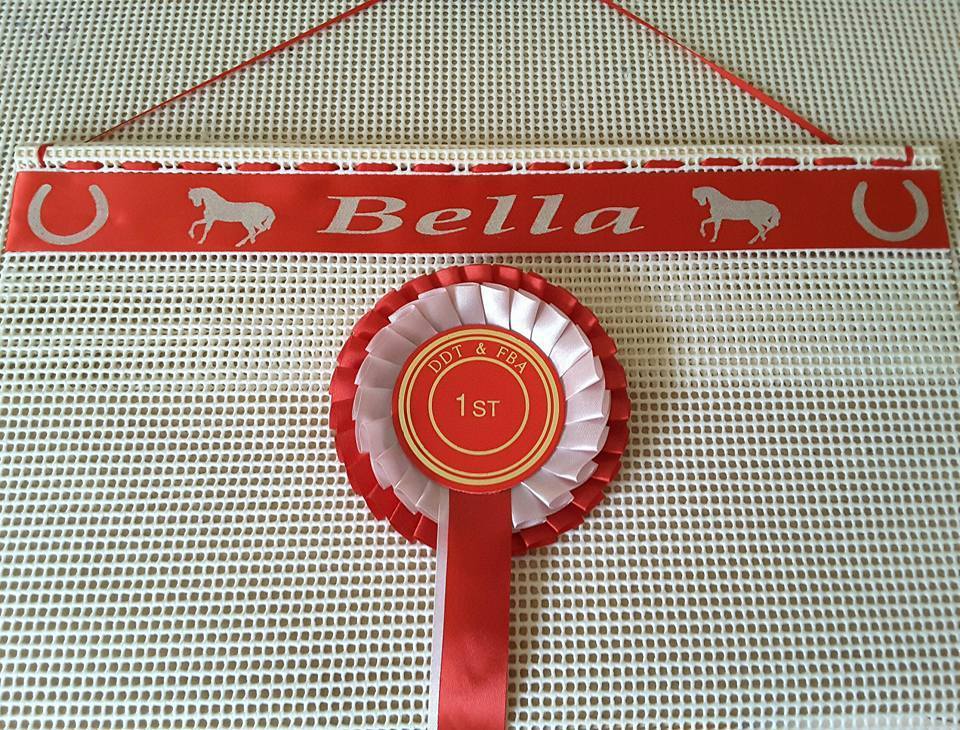 Personalised Rosette Holder  &quot;  Horse Shoes and Horses &quot;