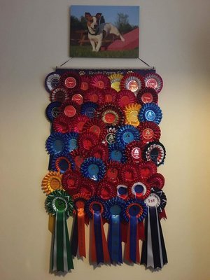 A Selection Of Rosette Holders For Dog or Cat Show Rosettes