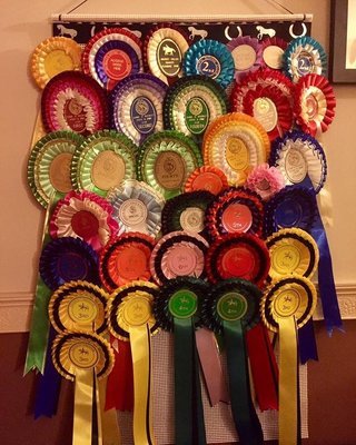 A Selection Of Rosette Holders Pony or Horse Show Rosettes