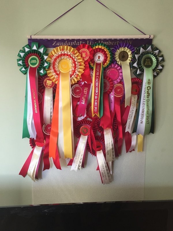 Medium Size  Rosette Holder